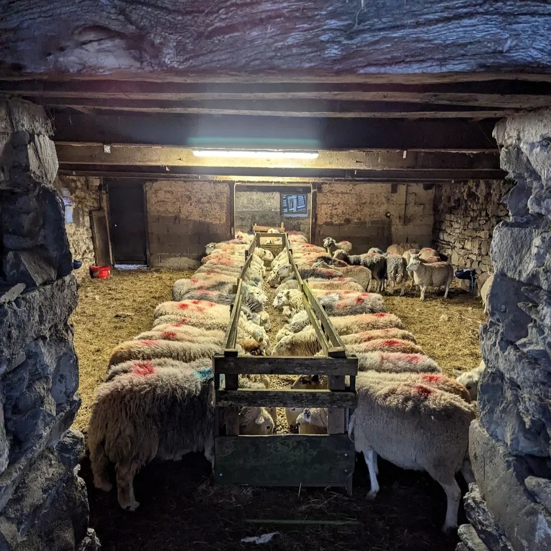 Glamping in the Lake District at Harry Place Farm